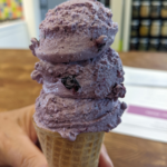 Wild Blueberry Frozen Ice Cream Recipe