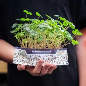 microgreens growing kit