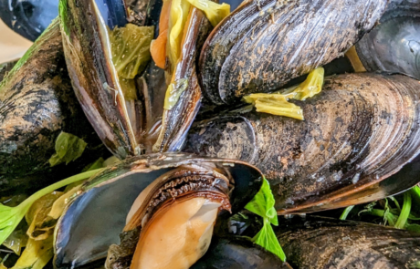 Intoxicatingly Delicious Drunken Mussels recipe