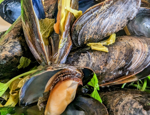 Intoxicatingly Delicious Drunken Mussels