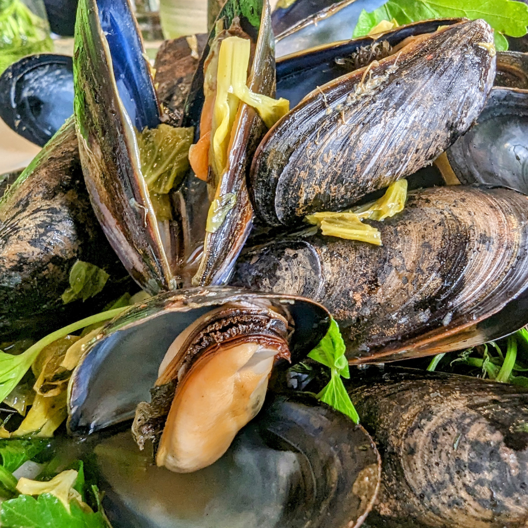 Intoxicatingly Delicious Drunken Mussels recipe