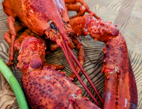 Unlock the Secrets to Cracking Lobster Like a Pro