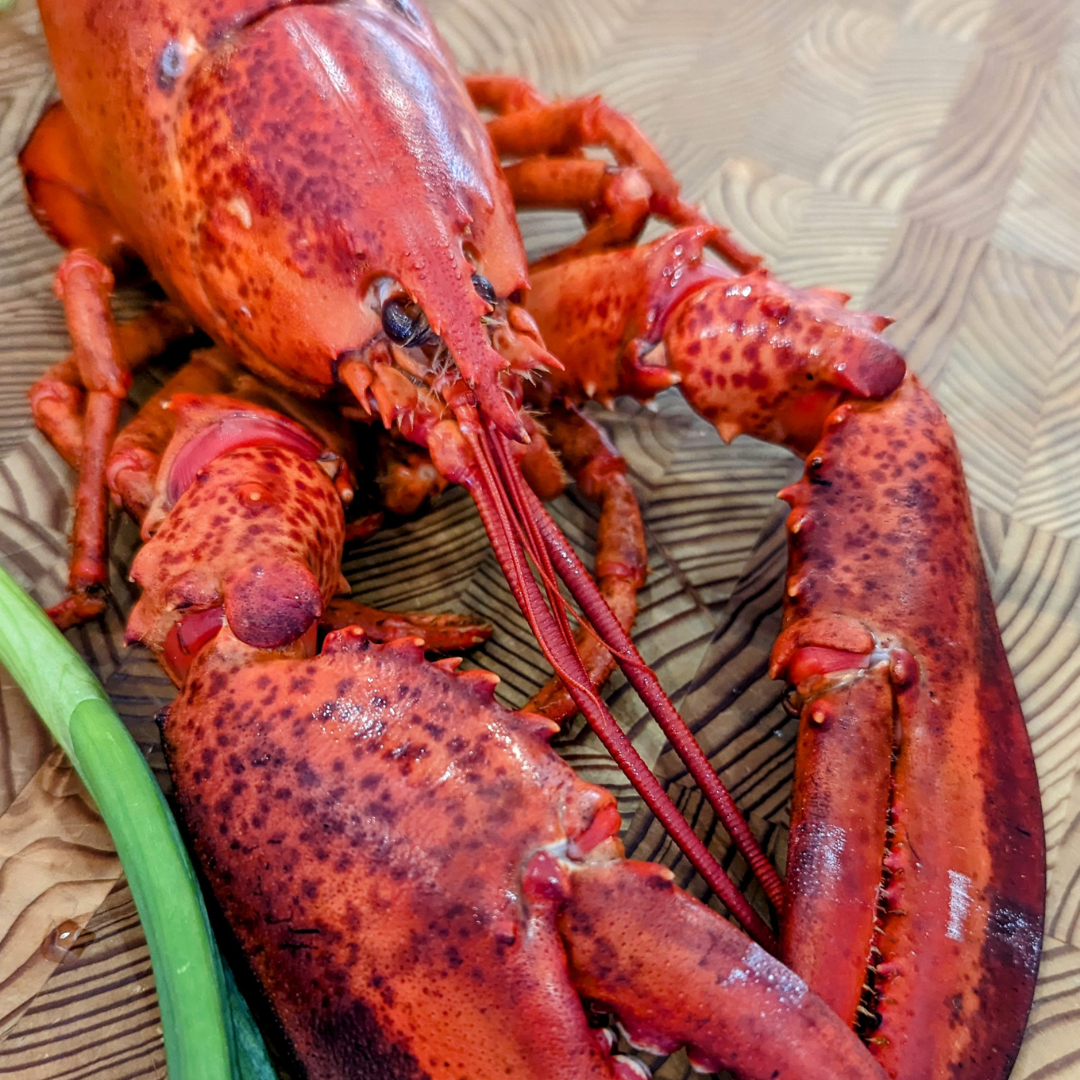 Unlock the Secrets to Cracking Lobster Like a Pro, tips and tricks